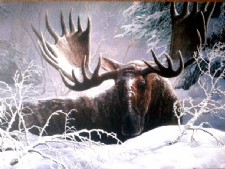 Walden's Brush with Wildlife Art Exhibit